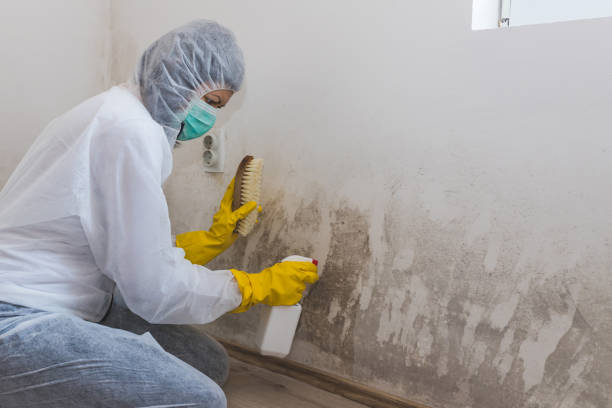 Forensic Mold Investigation in Oroville East, CA