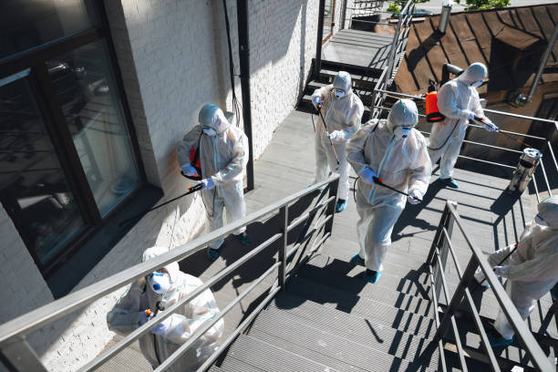 Best Asbestos and Lead Testing During Mold Inspection  in Oroville East, CA