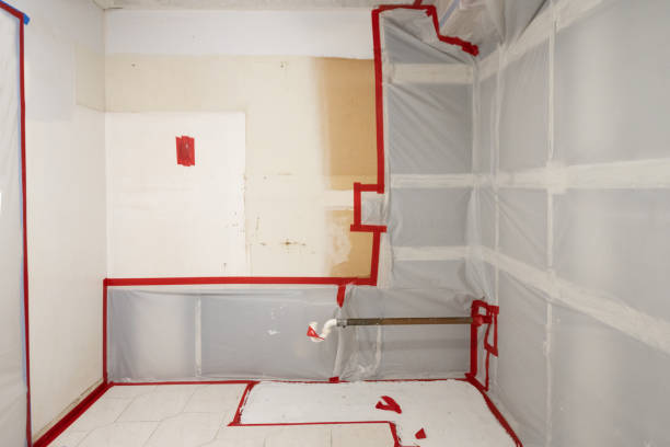 Best Forensic Mold Investigation  in Oroville East, CA