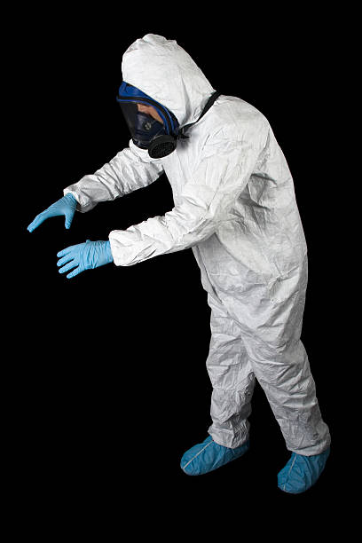 Best Basement Mold Removal  in Oroville East, CA
