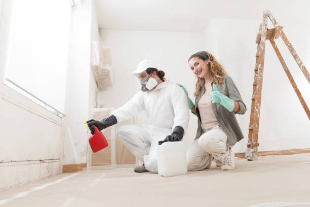 Best Comprehensive Air Testing for Mold Contaminants  in Oroville East, CA